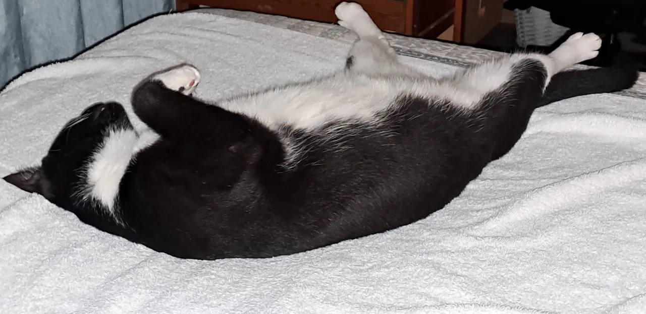 20250201_205159.jpg