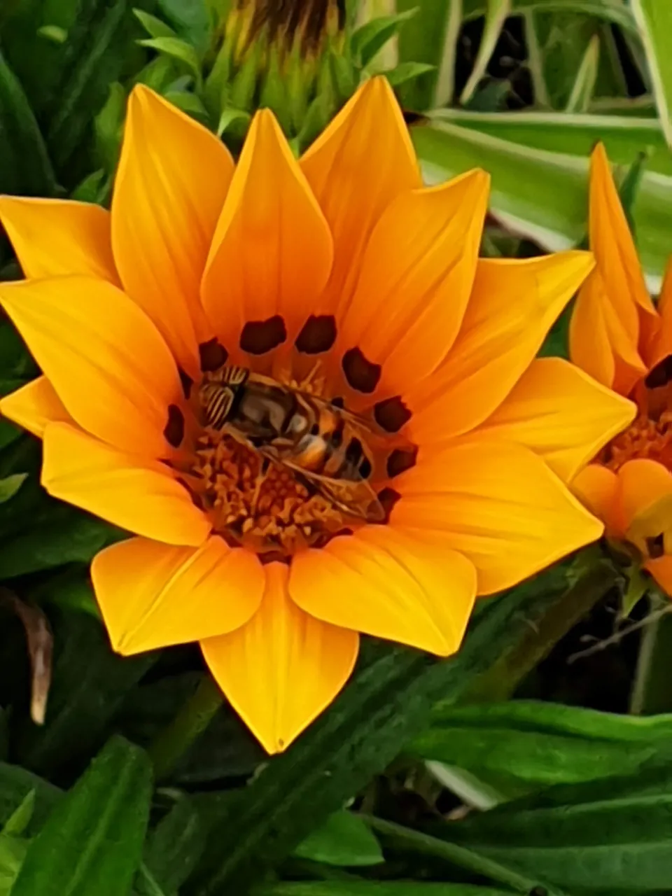 20201006_142052.jpg