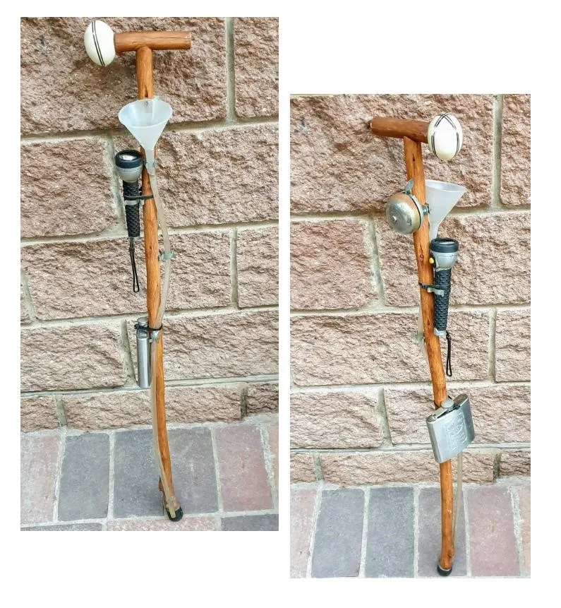 walking stick 1.jpg