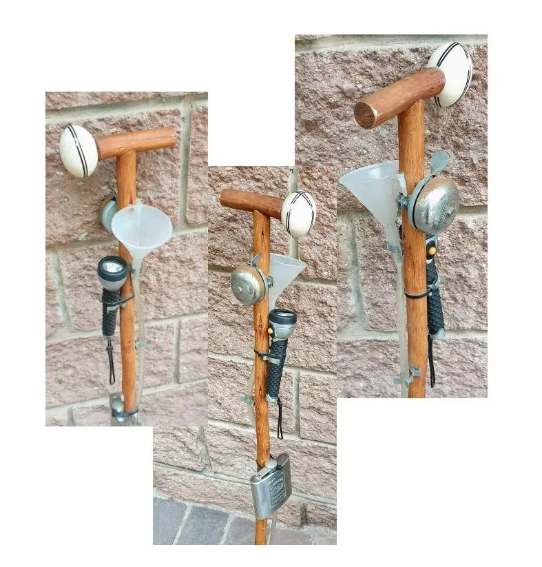 walking stick 2.jpg