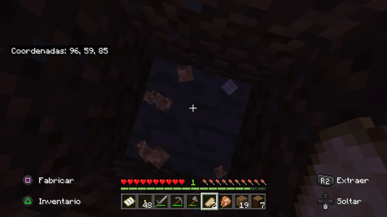 Minecraft_20220116131900.jpg
