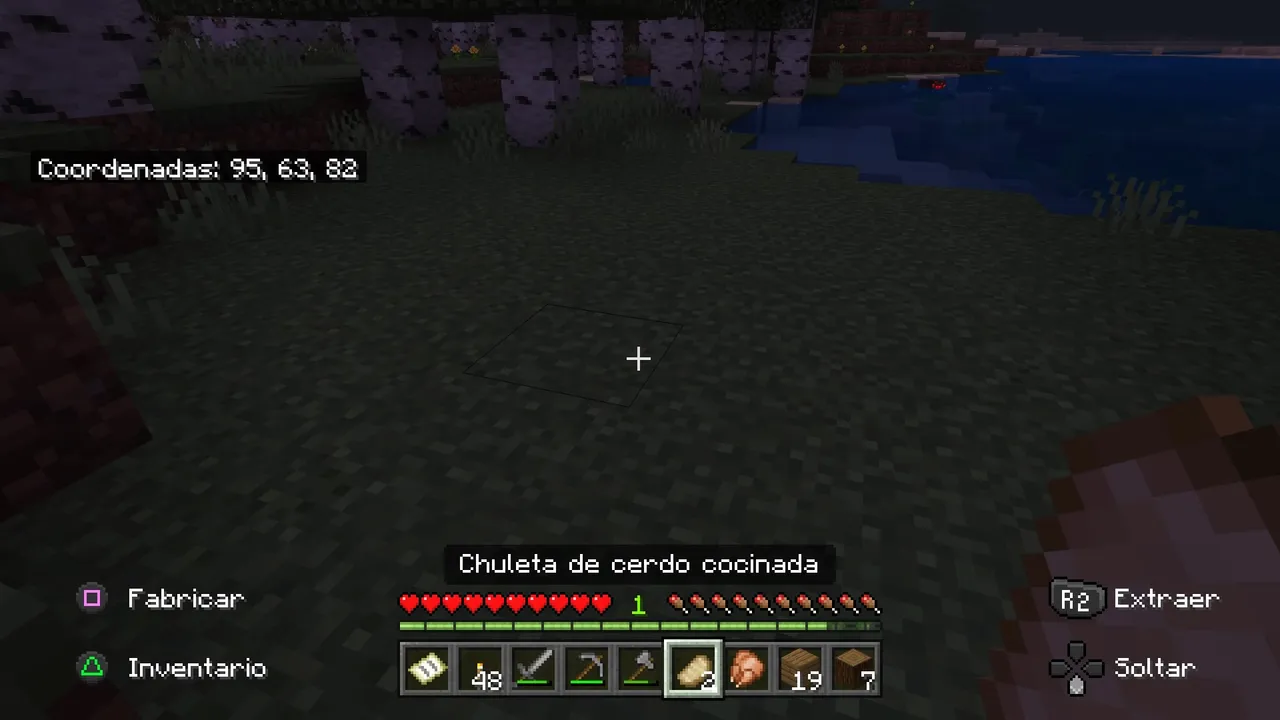 Minecraft_20220116131845.jpg