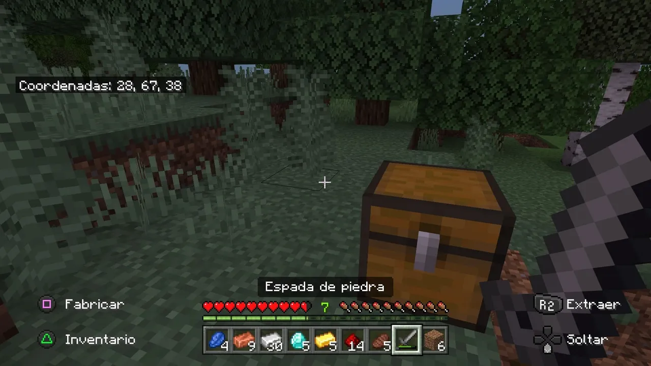 Minecraft_20220116140718.jpg