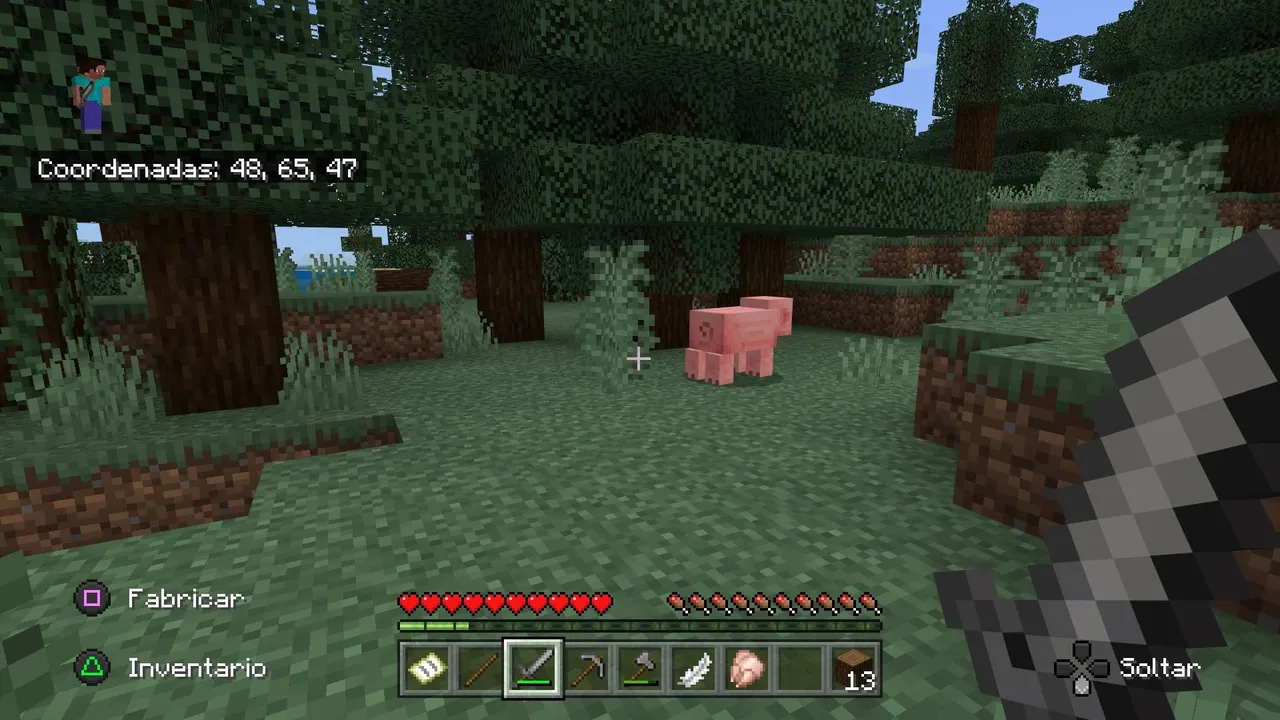 Minecraft_20220116131443.jpg