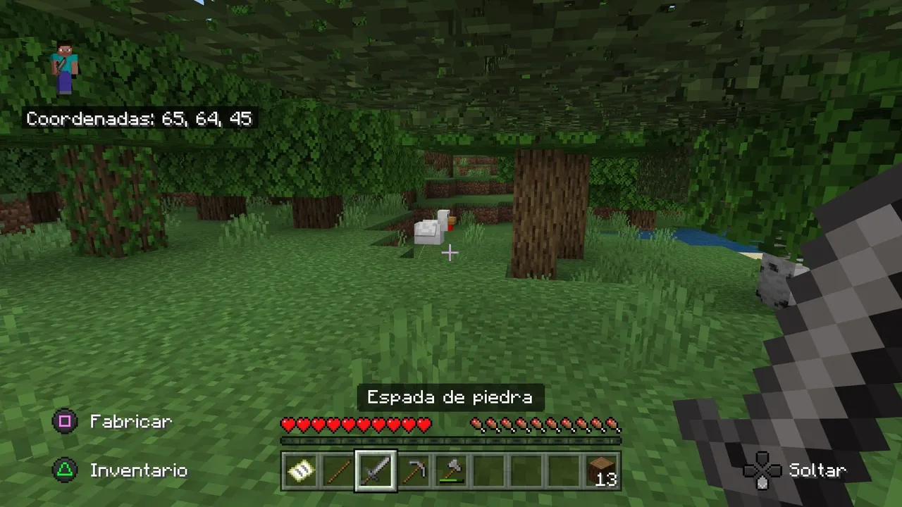 Minecraft_20220116131430.jpg
