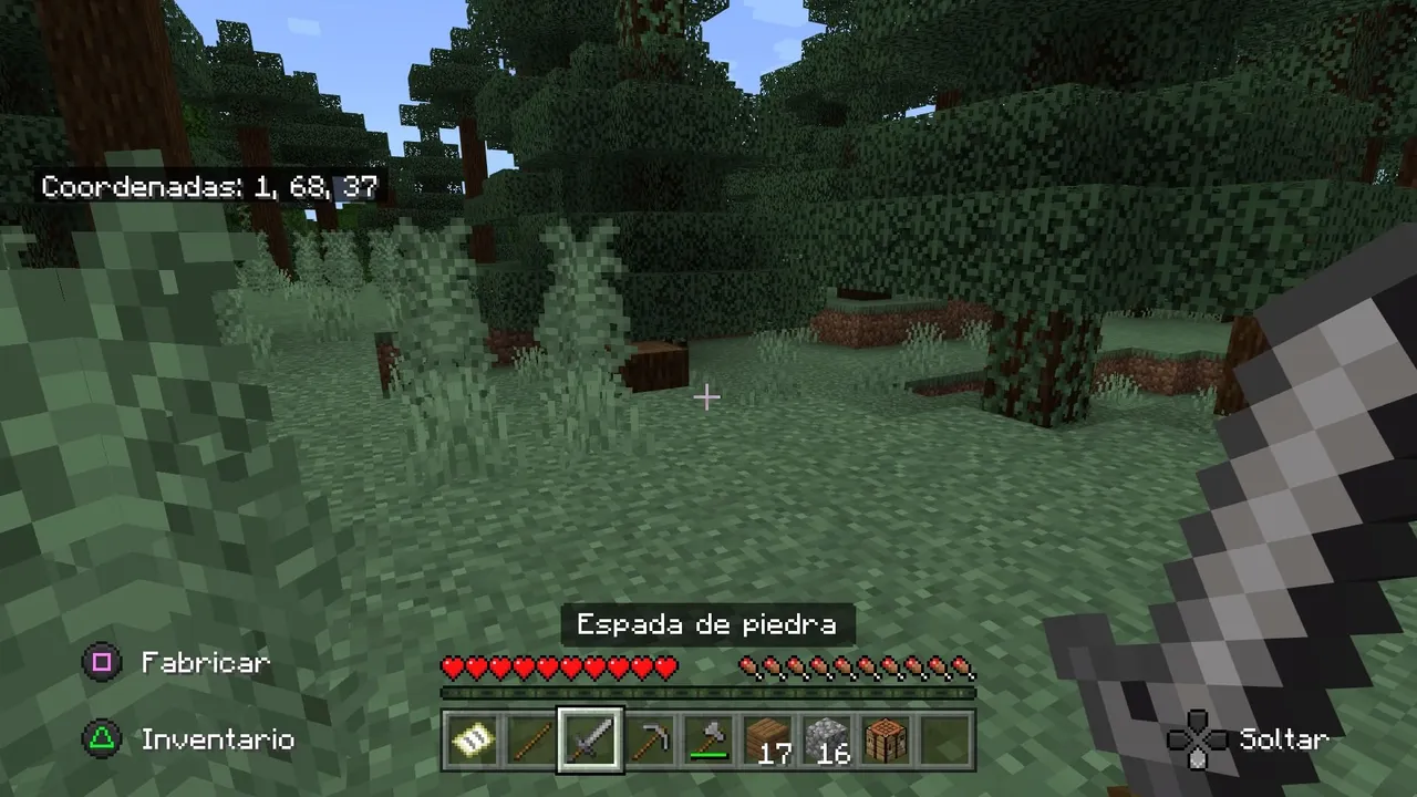 Minecraft_20220116131226.jpg