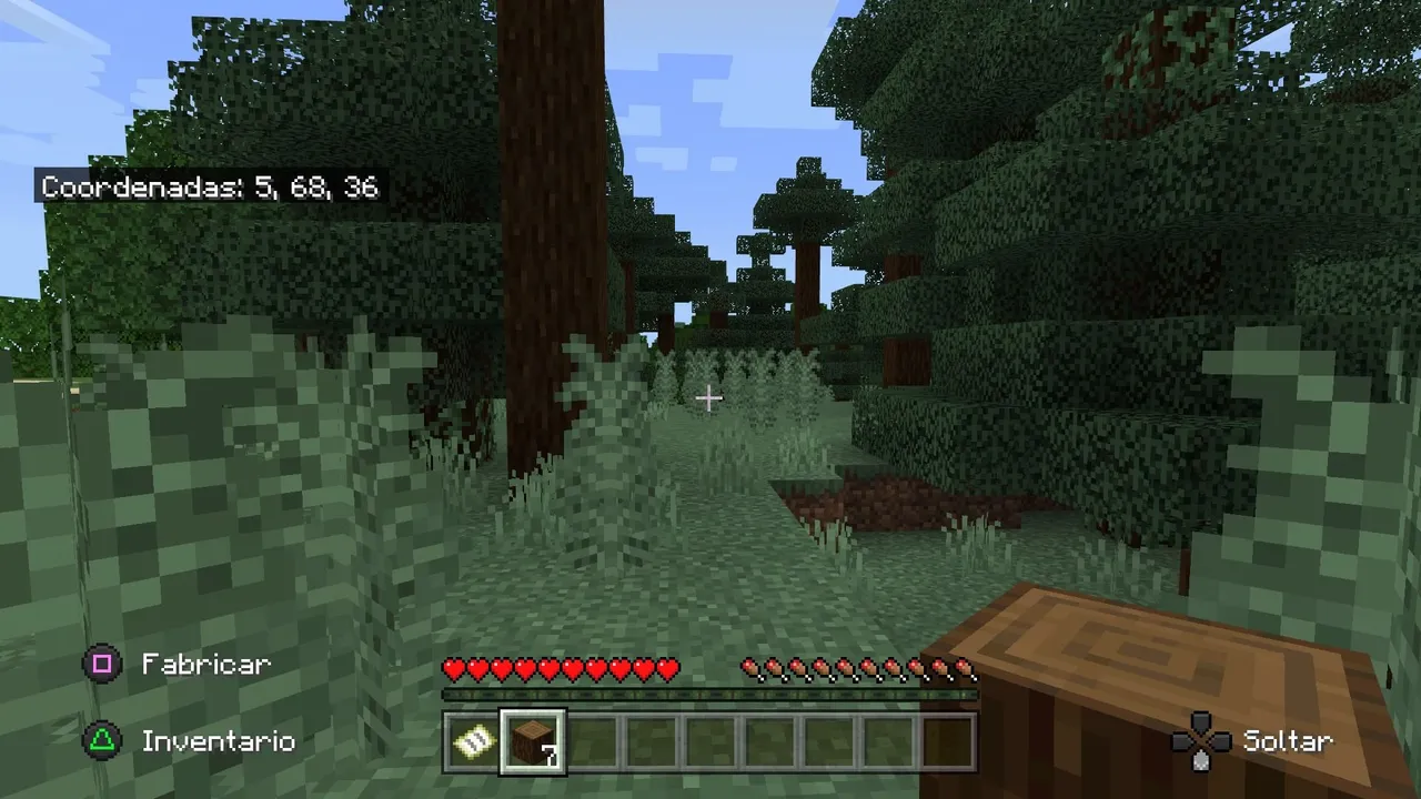 Minecraft_20220116131019.jpg