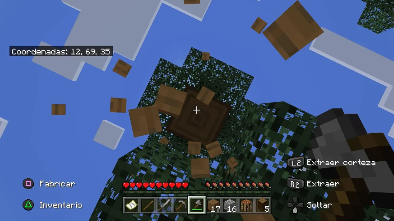 Minecraft_20220116131240.jpg