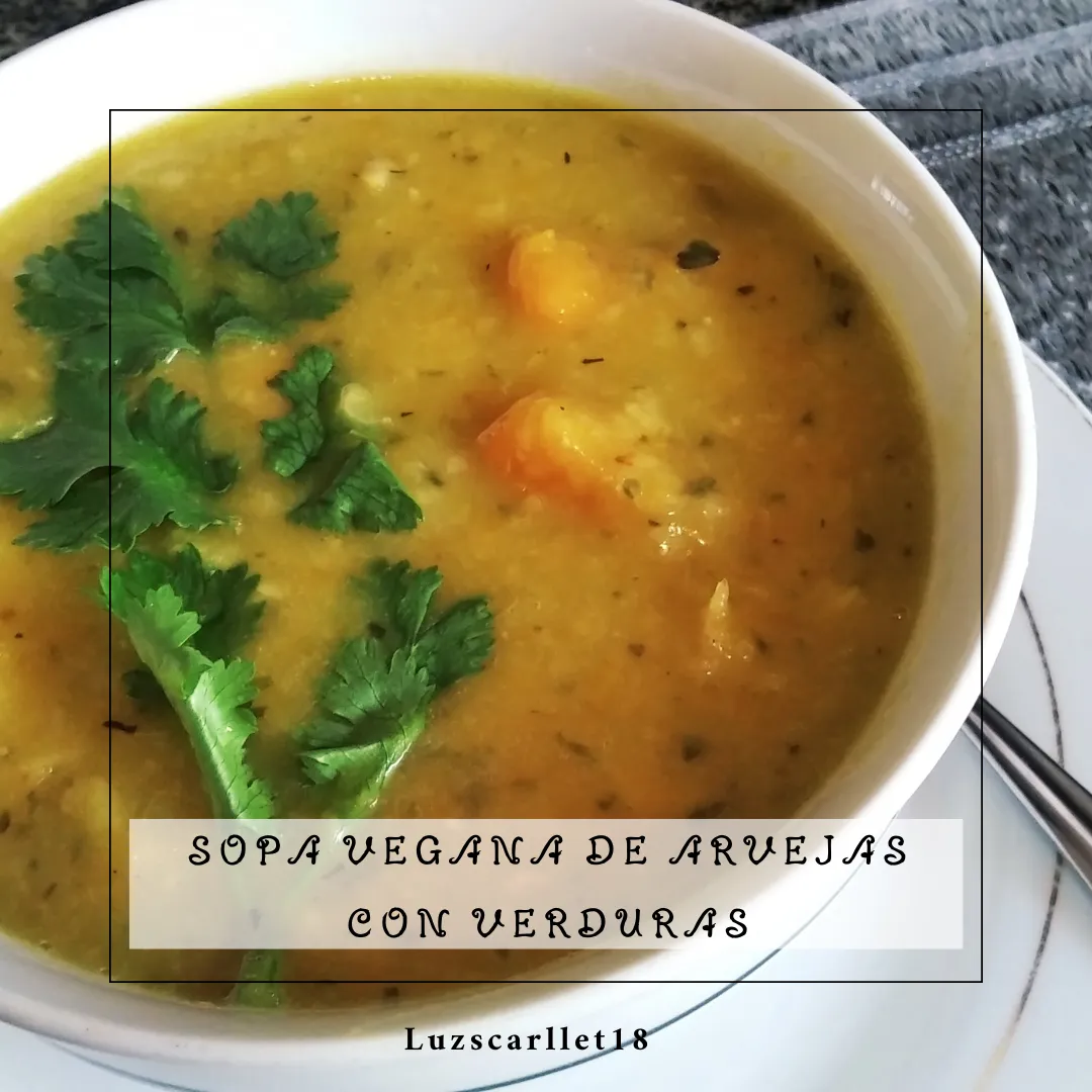 New Cover Sopa Vegana.png