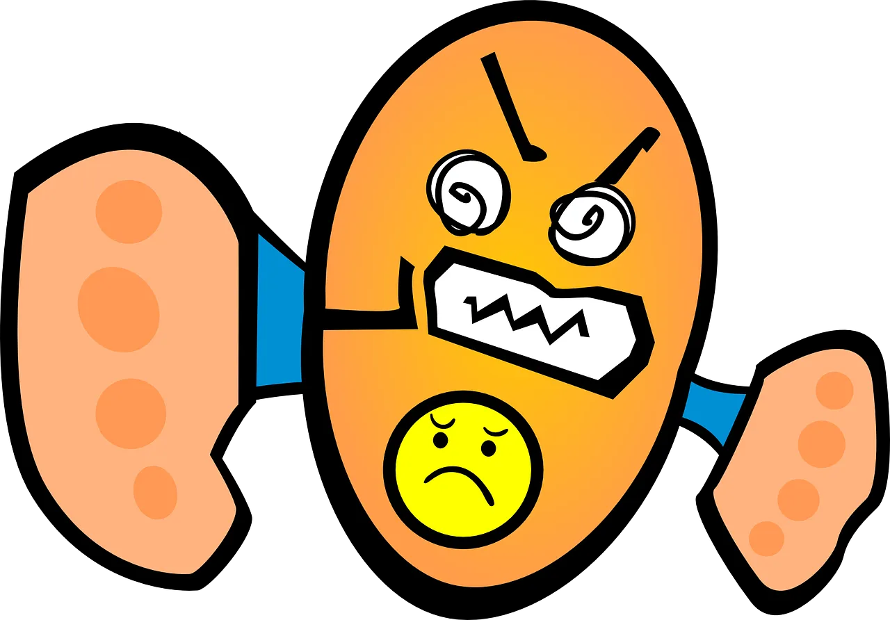angry-33031_1280.png