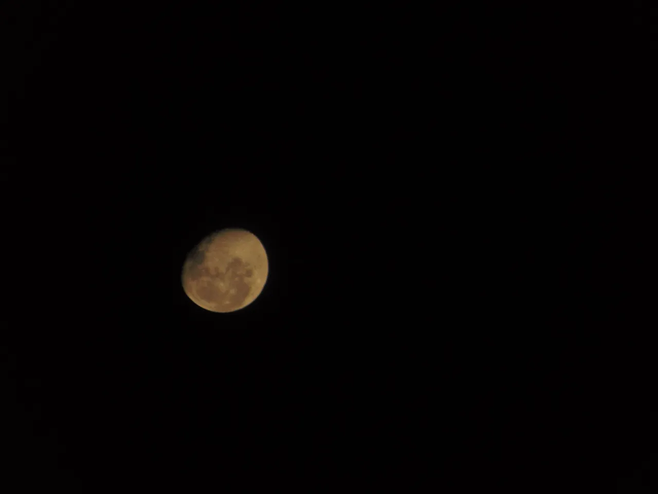 DSC02442.JPG