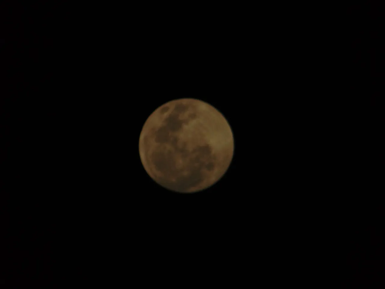 DSC05346.JPG
