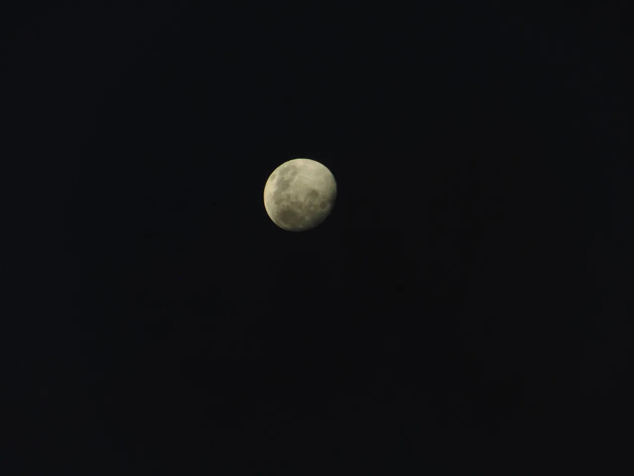 DSC05009.JPG