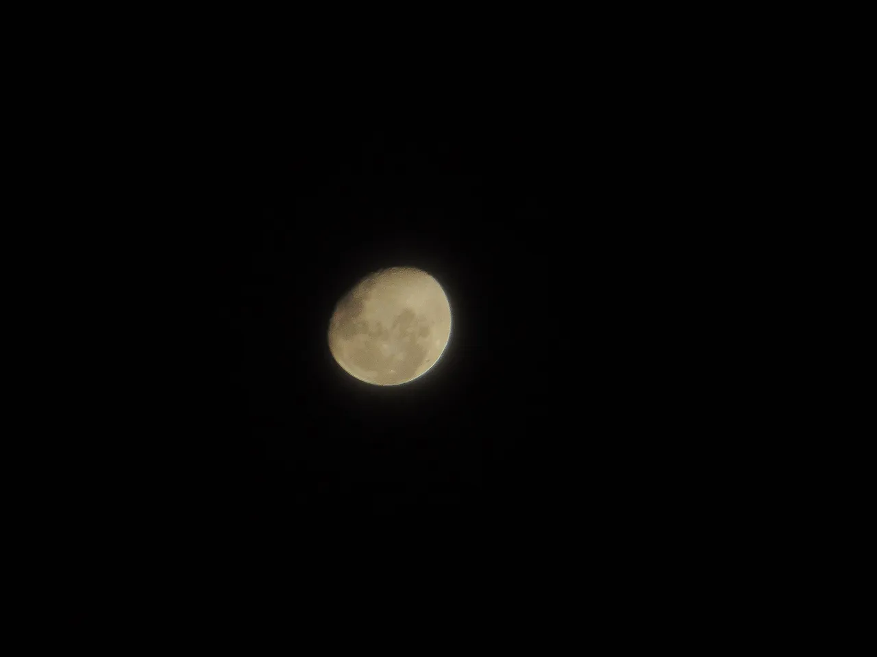 DSC02433.jpg