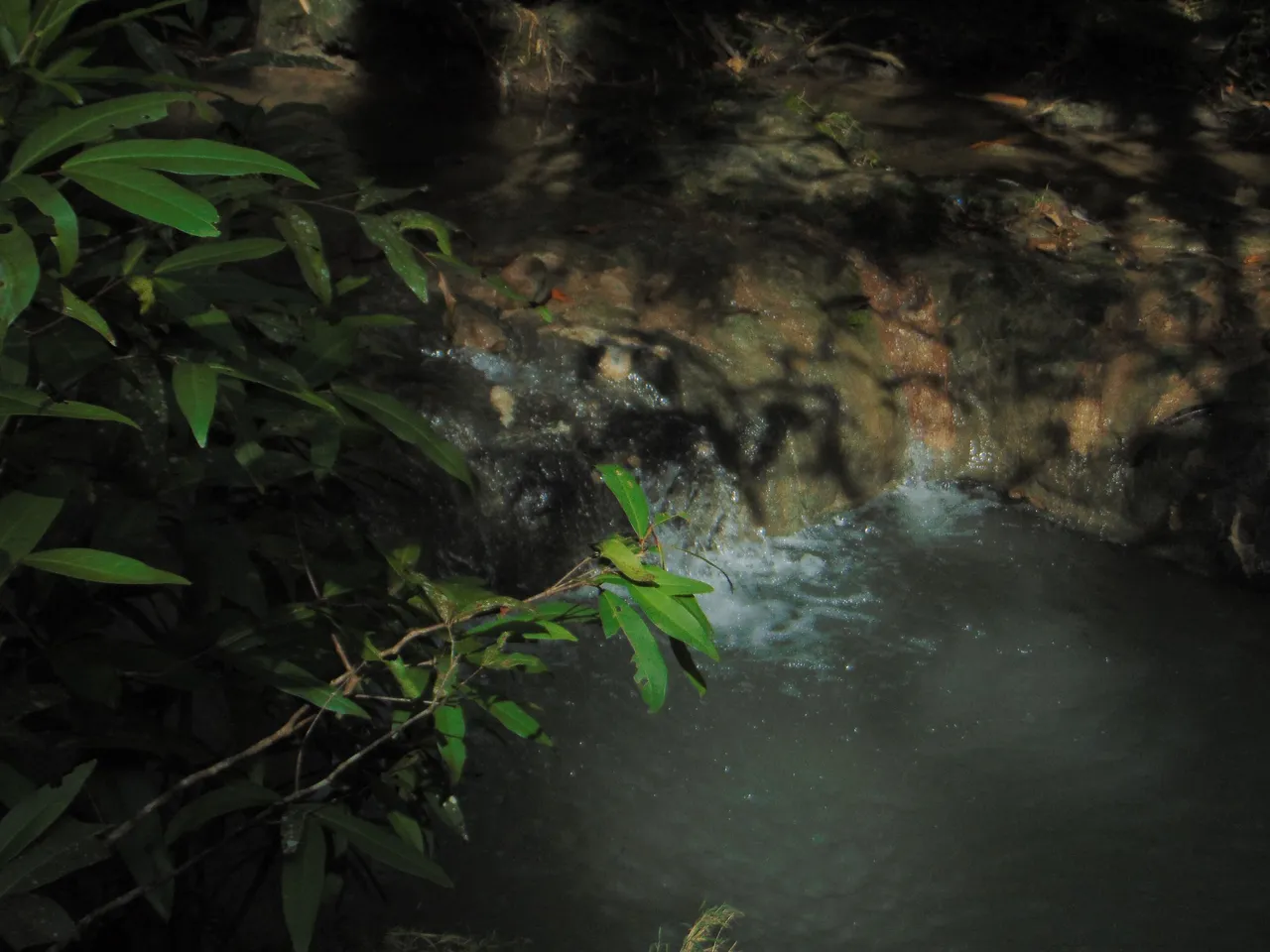 DSC01488.JPG