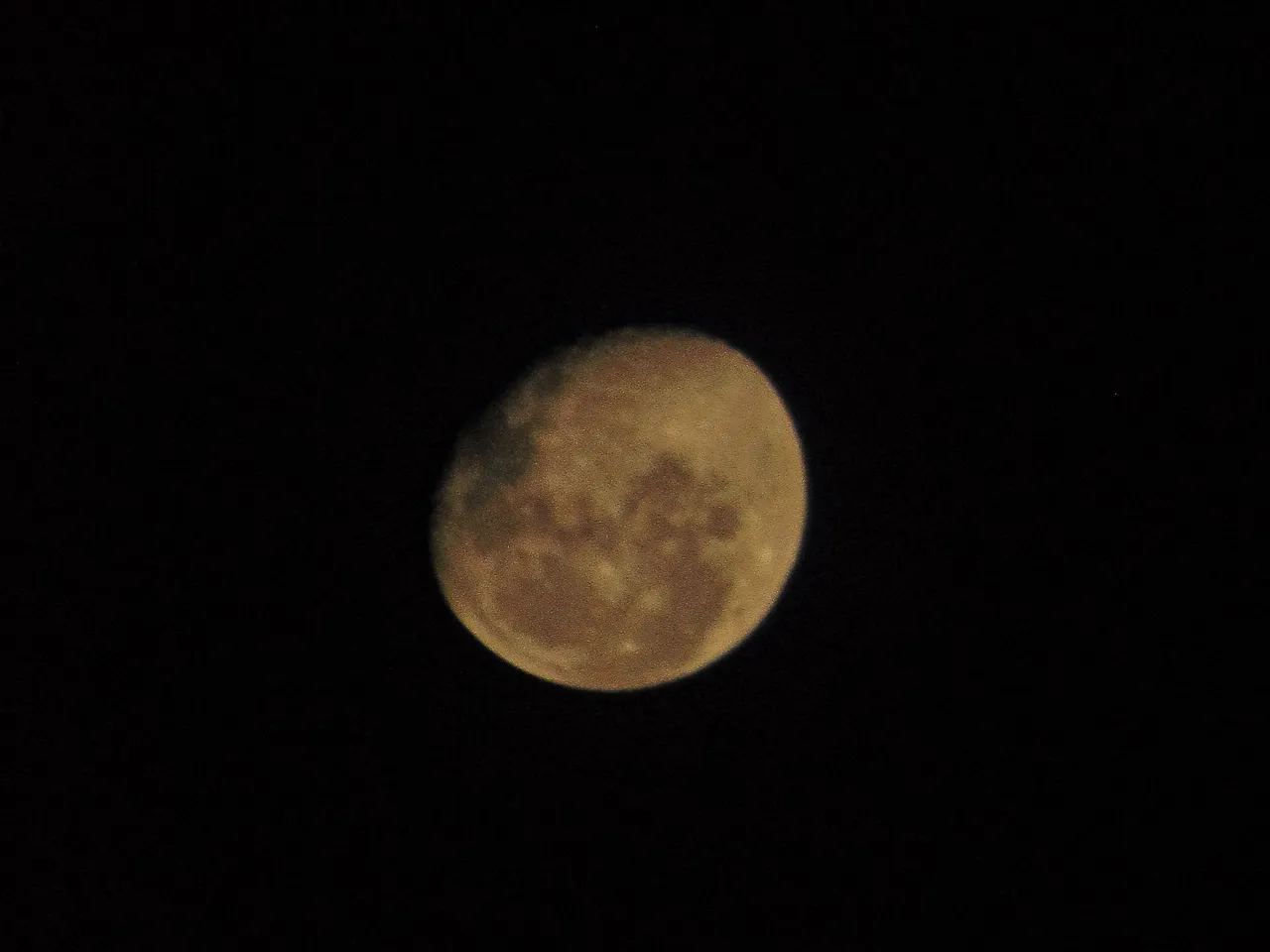 DSC02442.jpg