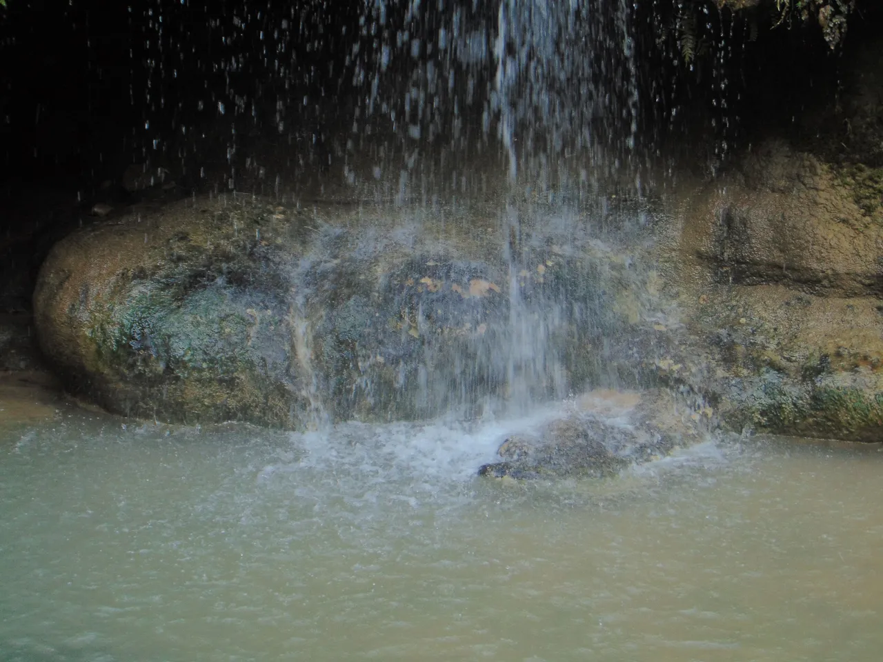 DSC01509.JPG
