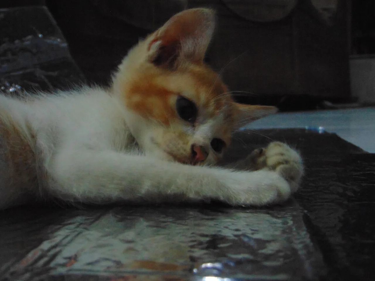 DSC05443.JPG