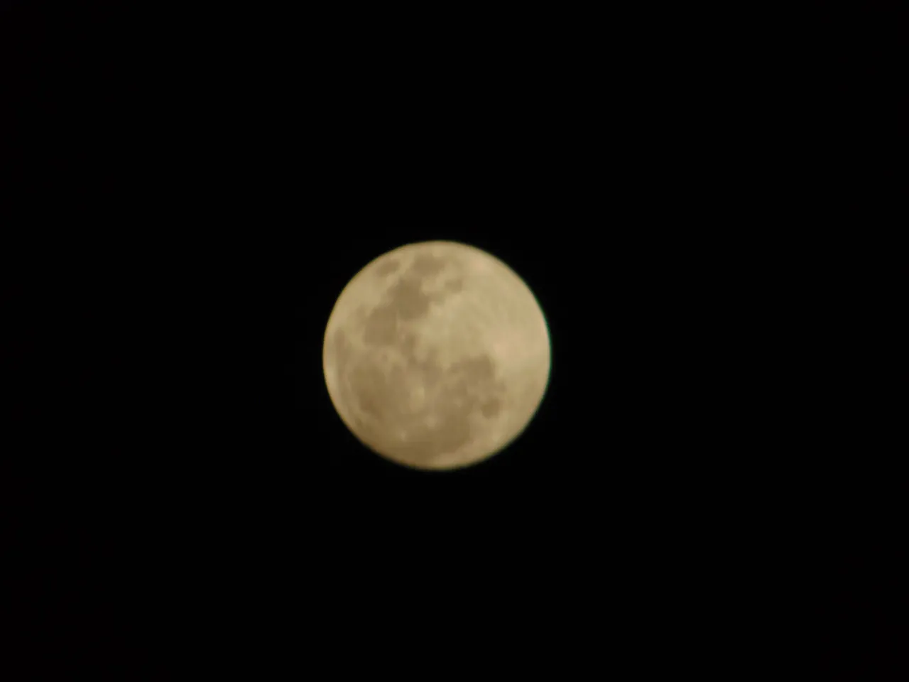 DSC05337.JPG