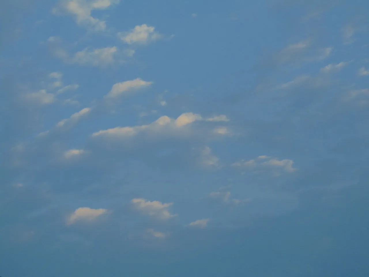 DSC06939.JPG