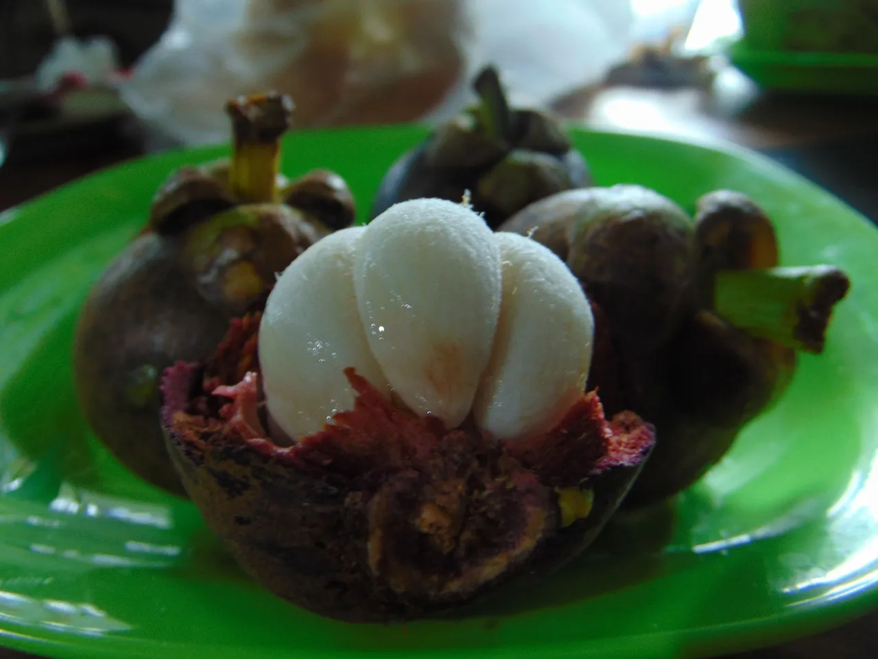 DSC08714.JPG