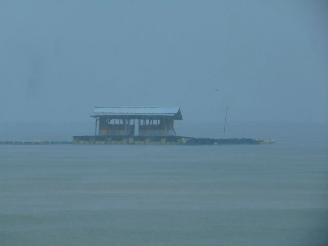 DSC08739.JPG