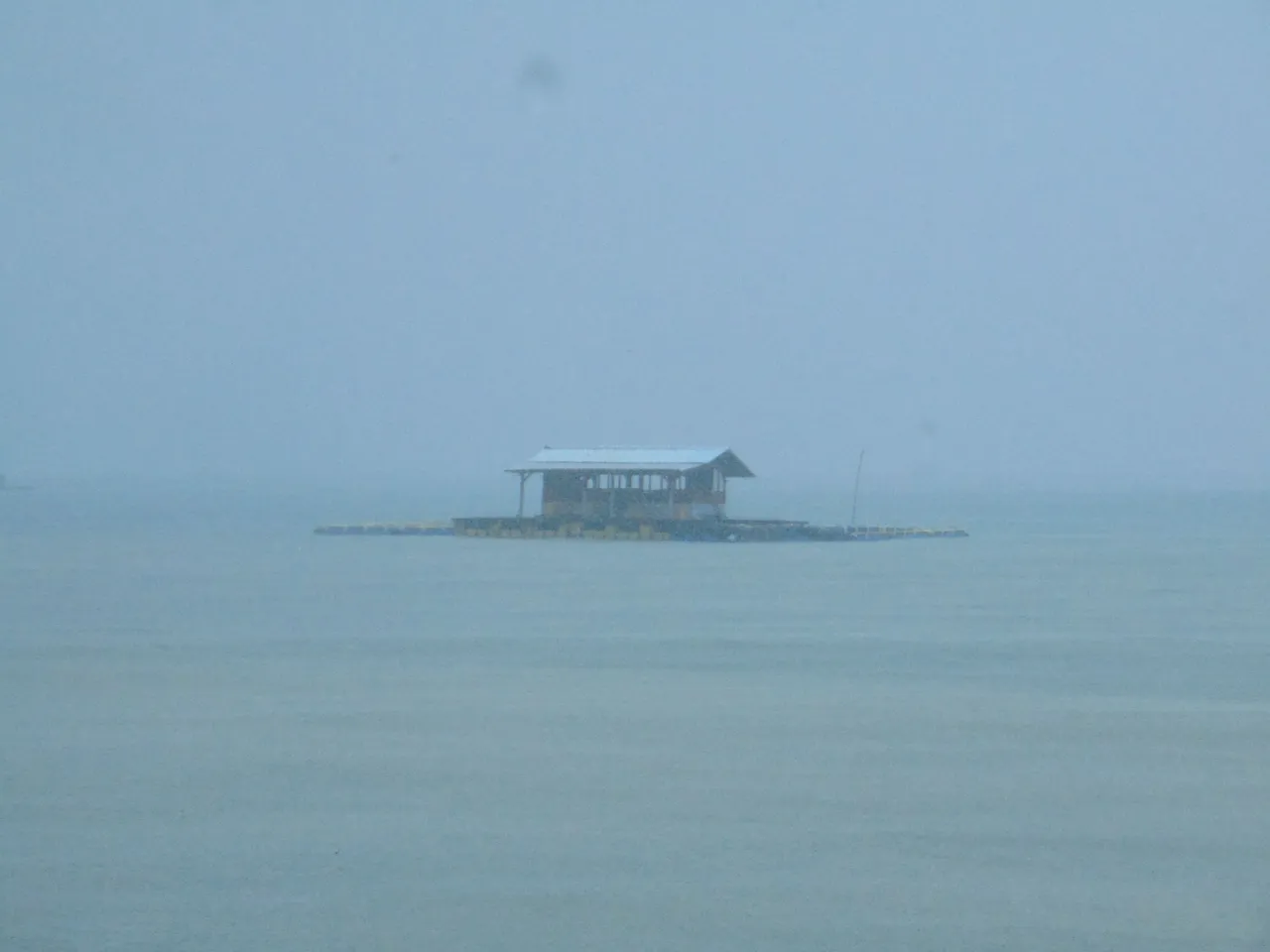 DSC08767.JPG