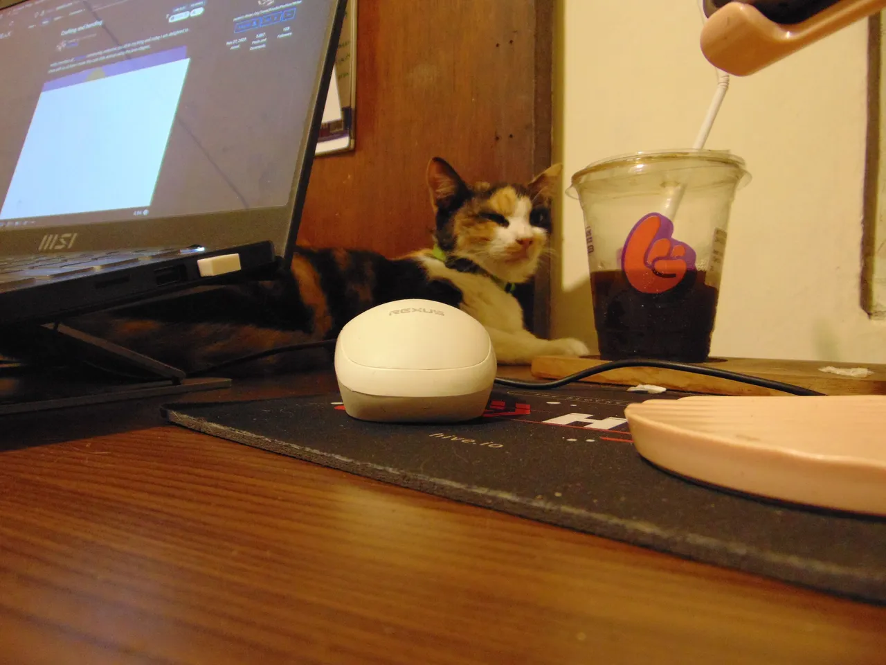 DSC05235.JPG