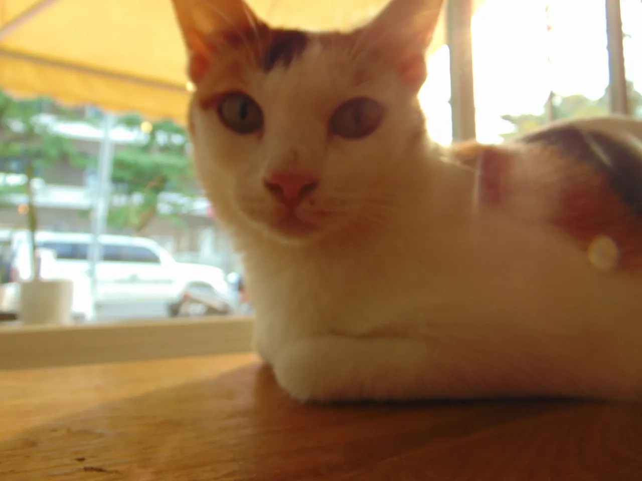 DSC02694.JPG