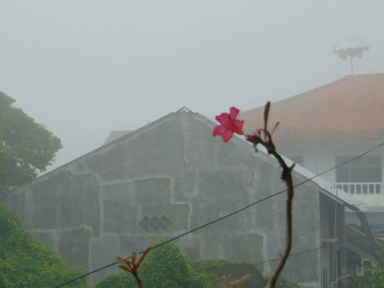 DSC06362.JPG