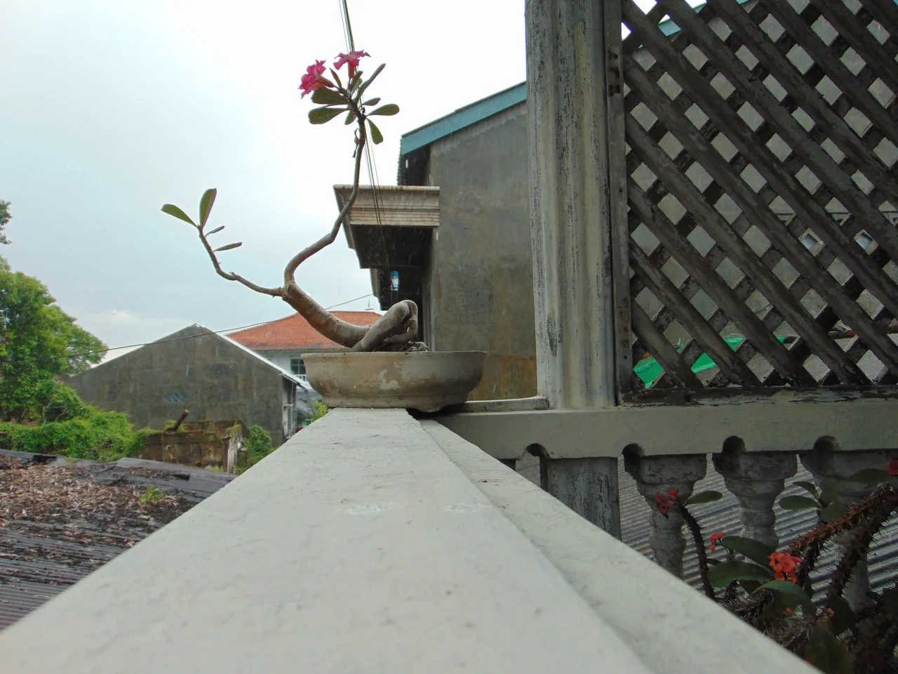 DSC05242.JPG