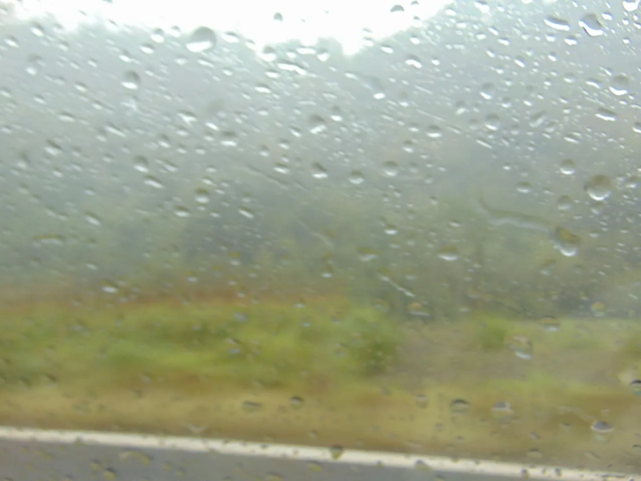 DSC09132.JPG