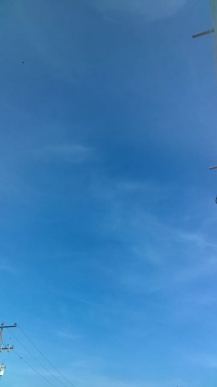 IMAG0102.jpg