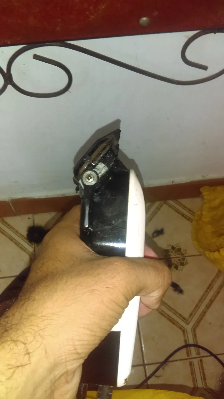 IMAG0084.jpg