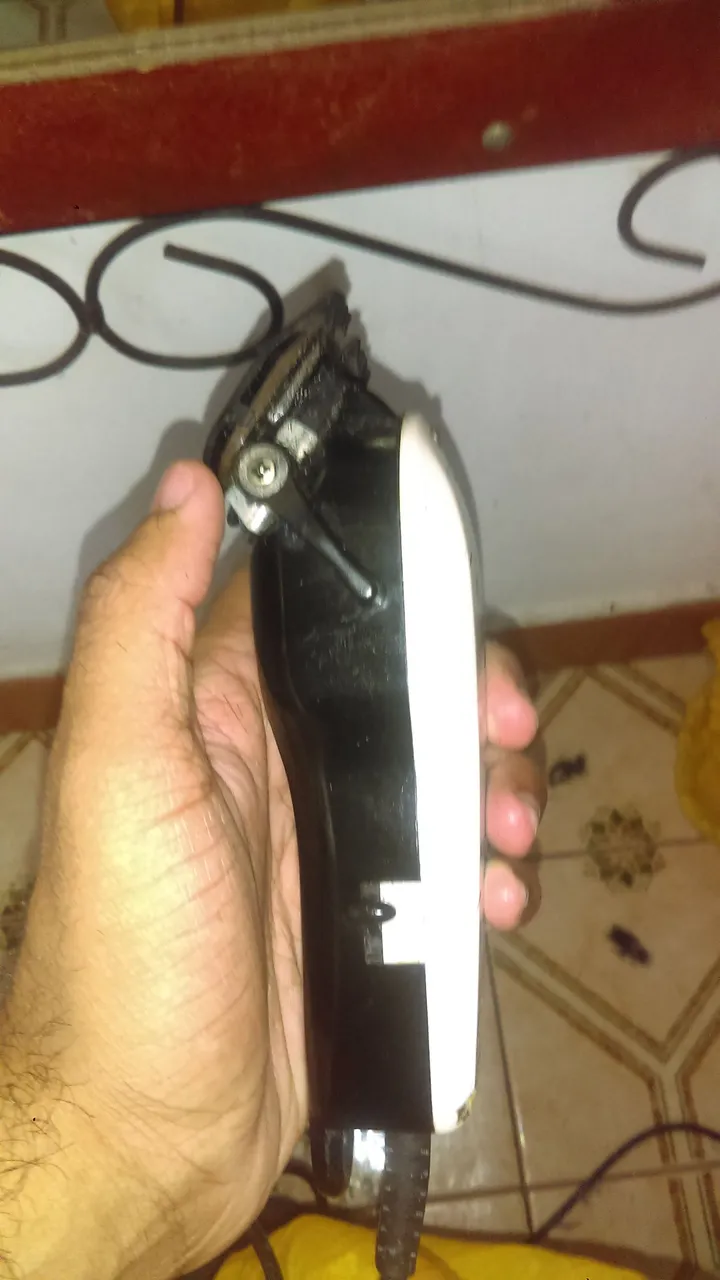 IMAG0085.jpg