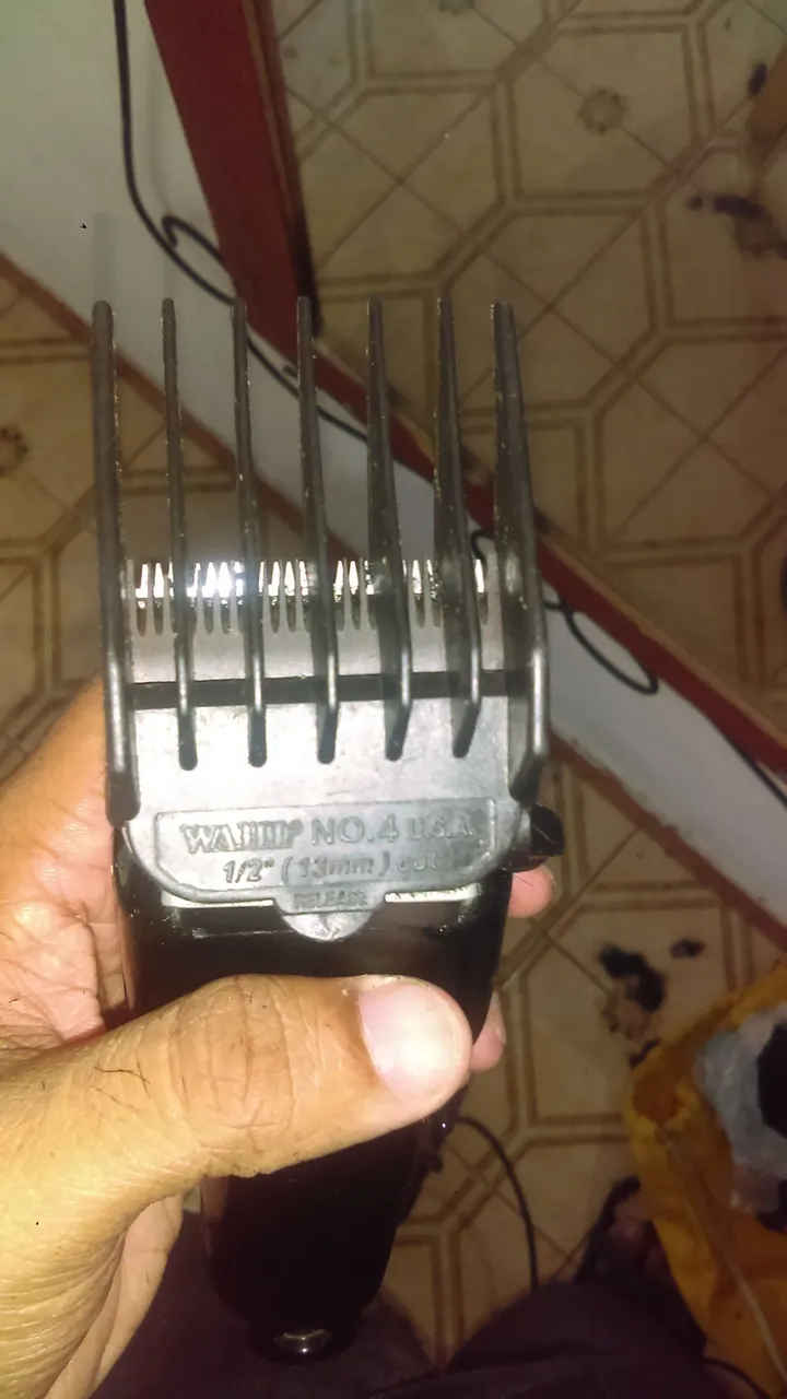 IMAG0097.jpg