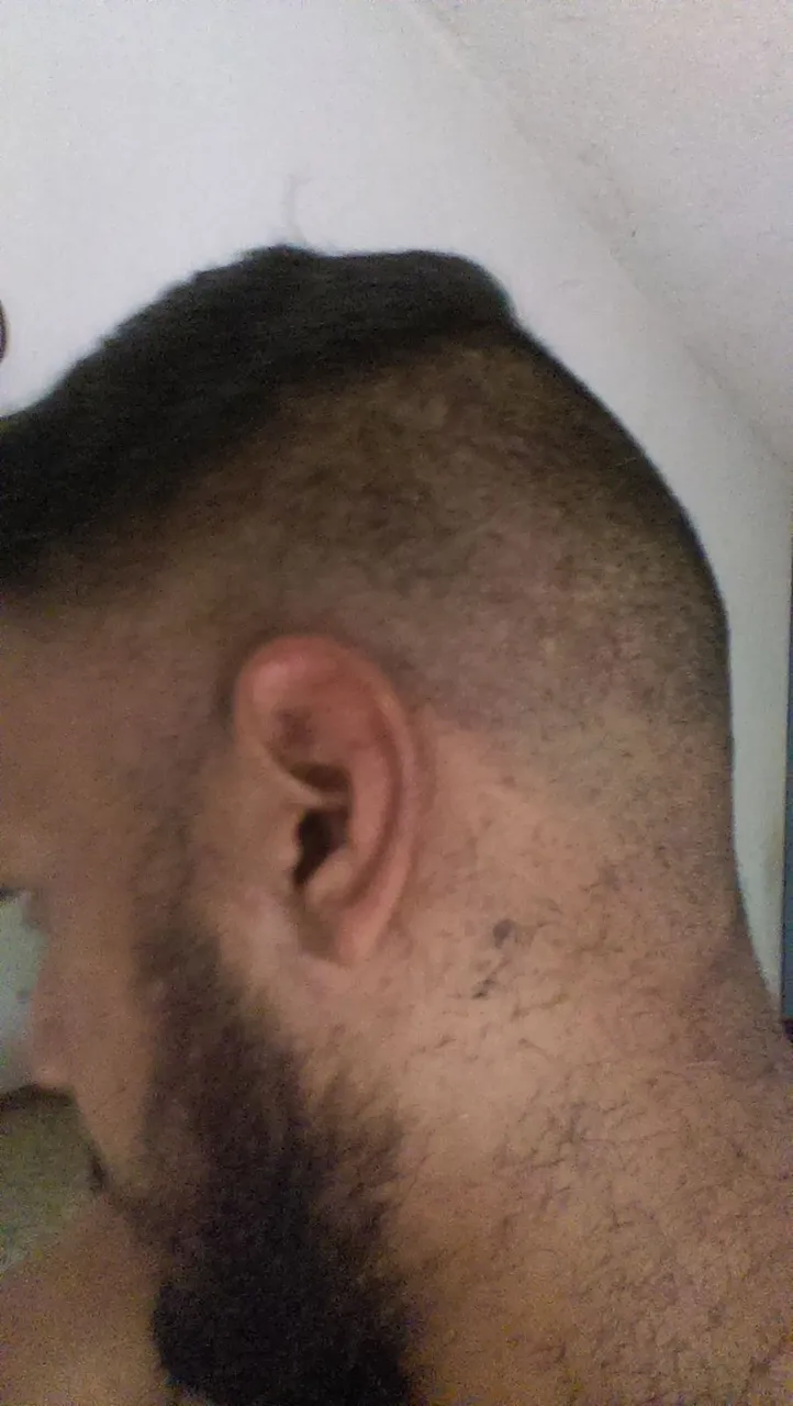 IMAG0093.jpg
