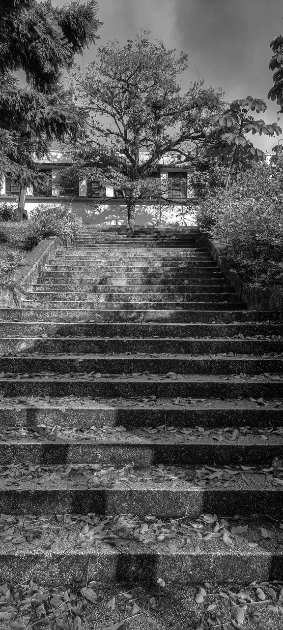 20230112_171622.jpg
