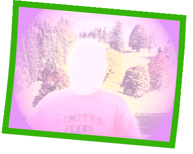 GIF.gif