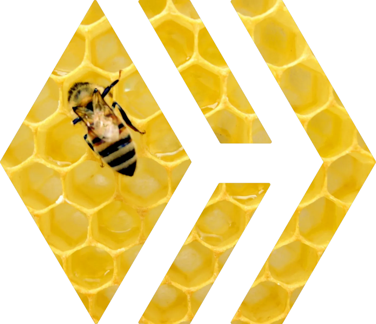 Hive Logo Honey @doze.png