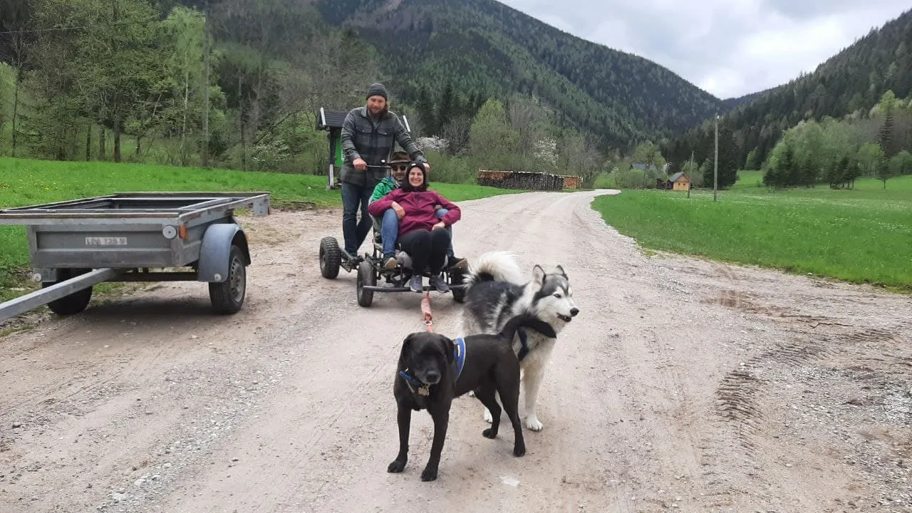 ride with the dogs.jpg