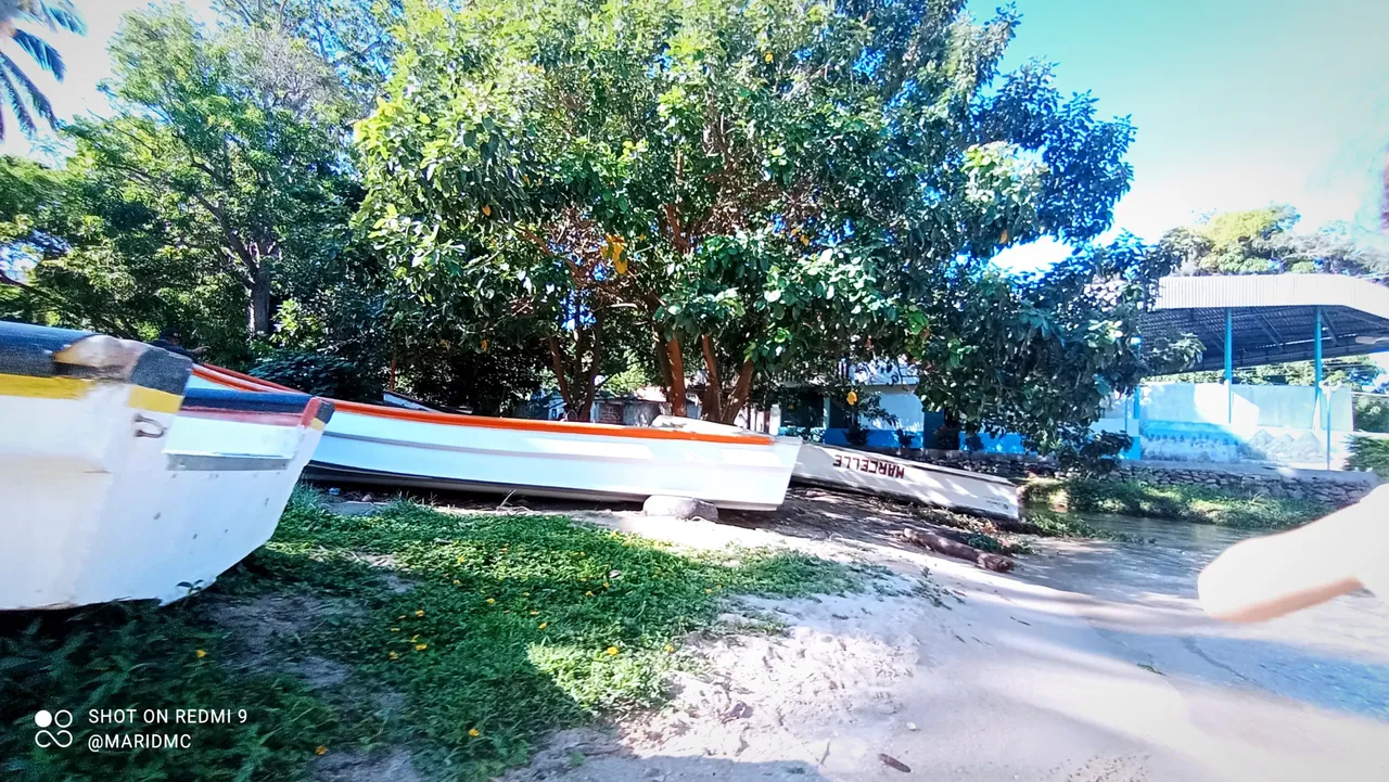 IMG_20211129_084948.jpg