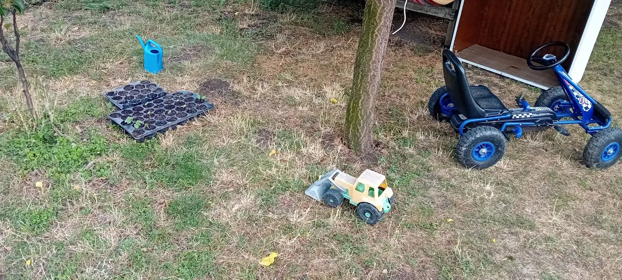 20250717_173813.jpg
