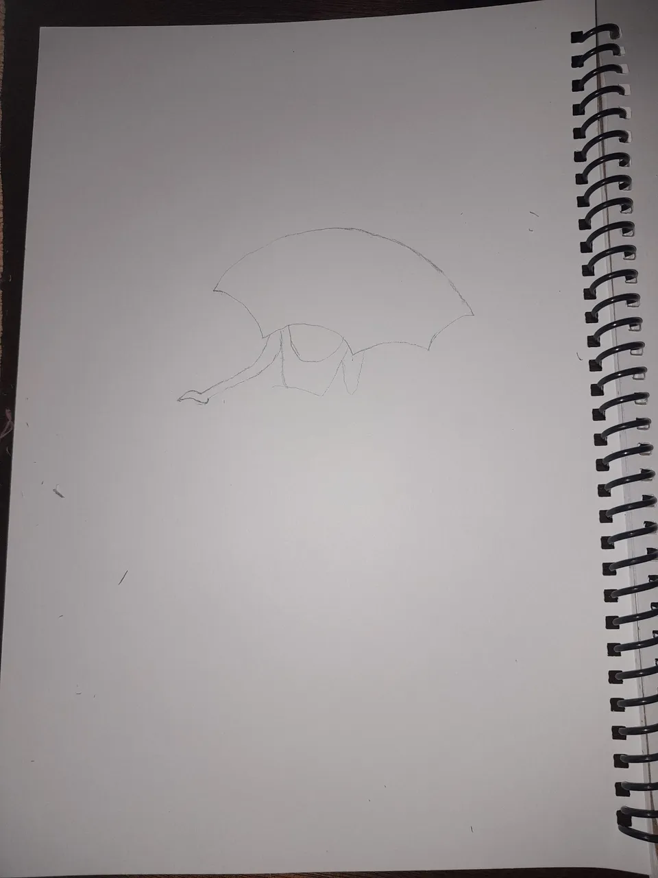 20220802_162341.jpg