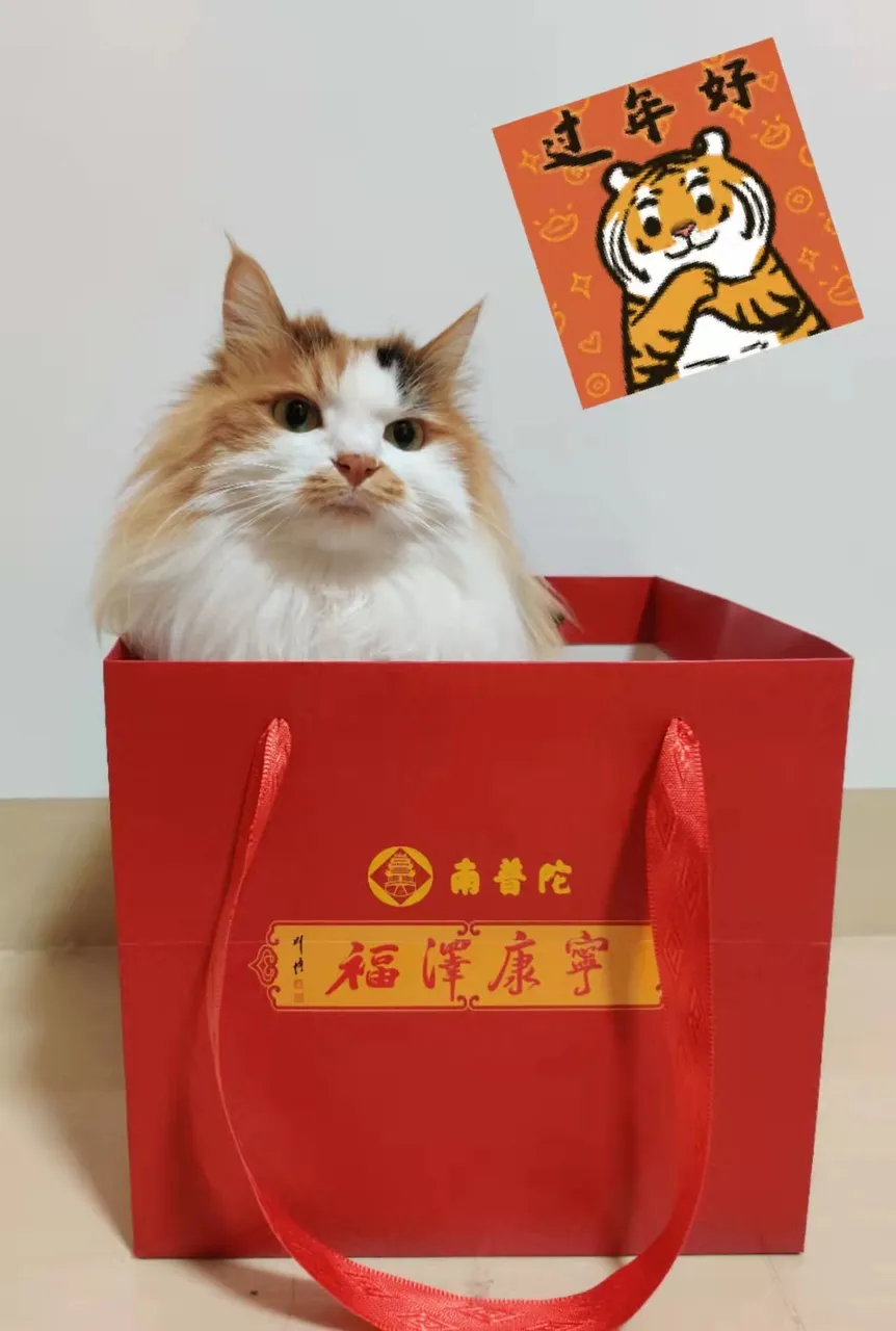 WeChat Image_20220217170000.jpg
