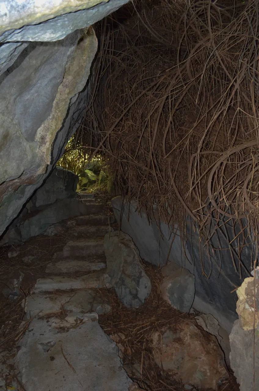 entrada cueva.jpg