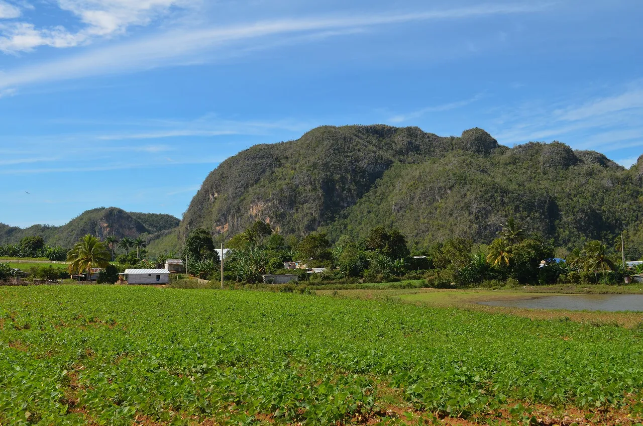 paisaje-2.jpg