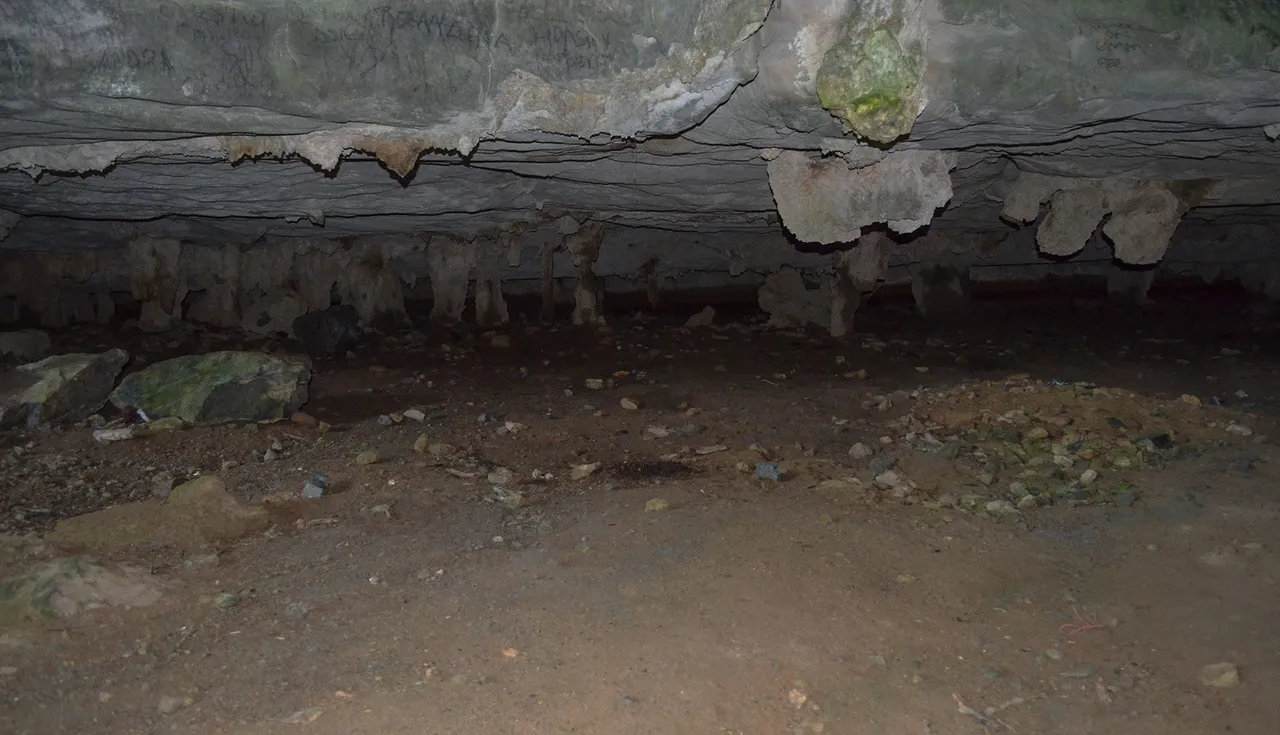 cueva adentro.jpg