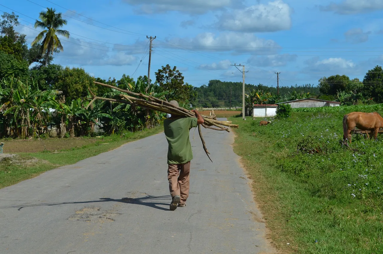 carretera.jpg