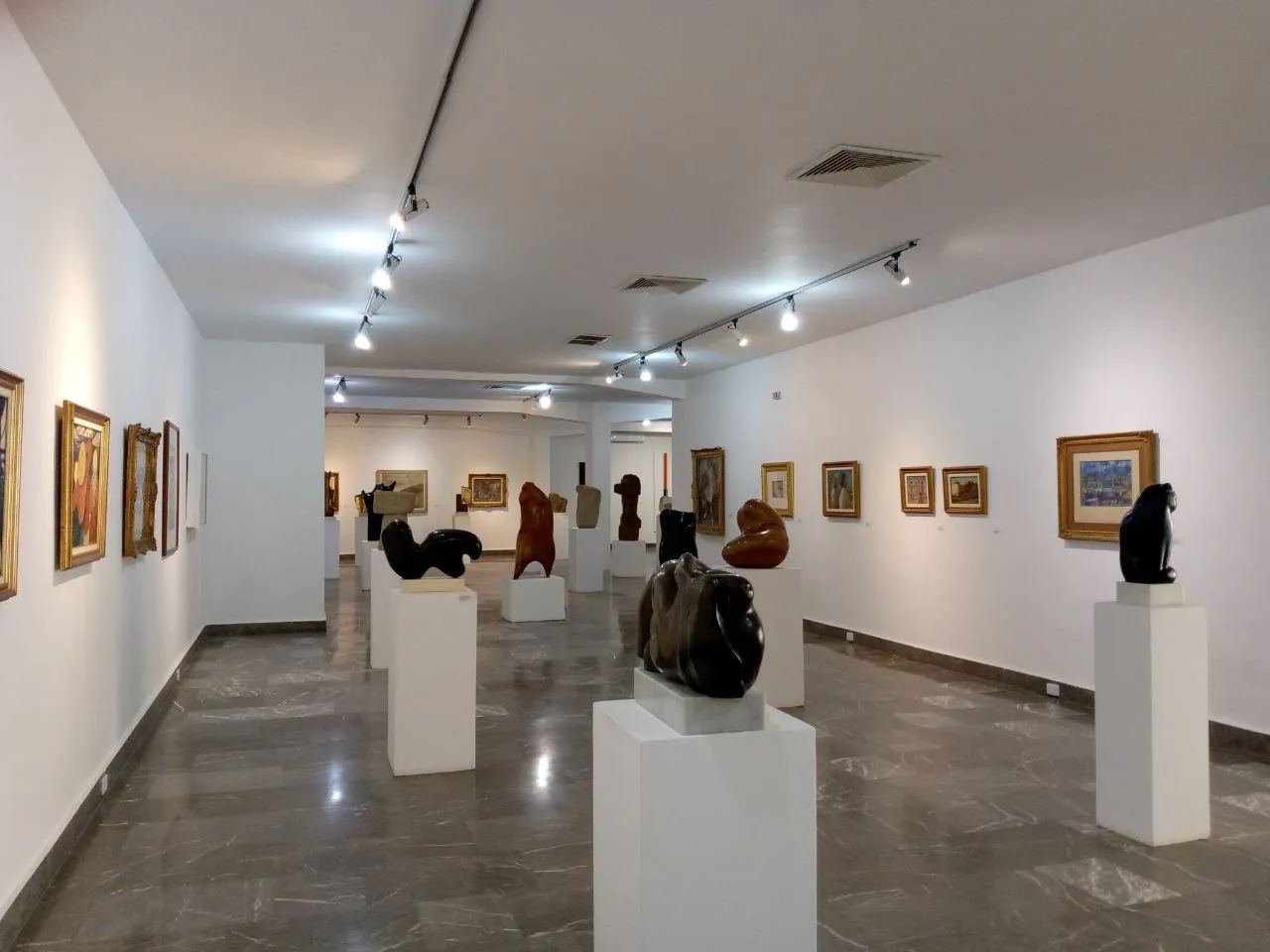 MN Parte Interior 1.jpg